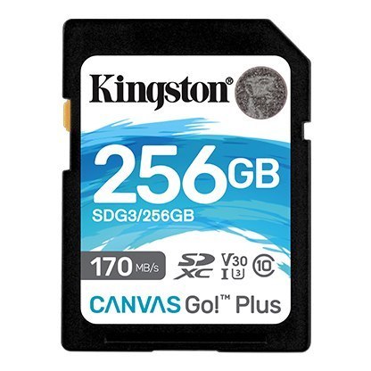 Kingston Kingston | Canvas Go! Plus | 256 GB | Pamięć flash klasy 10