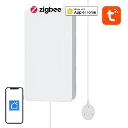 Czujnik Zalania ZigBee NEO NAS-WS05B Sensor Wody TUYA