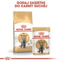 ROYAL CANIN FBN British Shorthair Adult - sucha karma dla dorosłego kota - 10kg