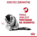 ROYAL CANIN FCN Hairball Care - sucha karma dla kota dorosłego - 10 kg