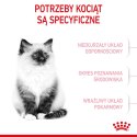 ROYAL CANIN FHN Kitten - sucha karma dla kociąt - 10kg