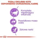 ROYAL CANIN FHN Sterilised 7+ - sucha karma dla kota dorosłego - 10 kg