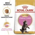 Royal Canin FBN Maine Coon Kitten - sucha karma dla kociąt - 10kg