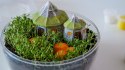 !!! CLE Harry Potter Terrarium 19248