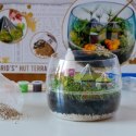 !!! CLE Harry Potter Terrarium 19248