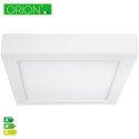 ORION PANEL LED NATYNKOWY Z ZASILACZEM RAND 225*225 18W