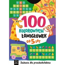 100 kolorowych łamigłówek. Zadania dla przedszkolaków. Od 5 lat