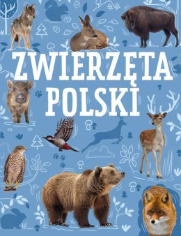 Zwierzęta Polski