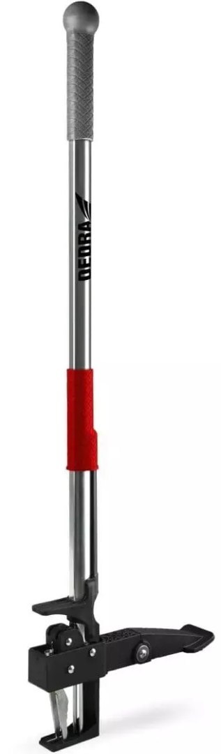 DEDRA WYRYWACZ CHWASTÓW